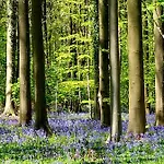 D’orange Bed & Breakfast 4*