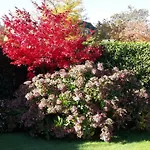 D’orange 4* Waterloo