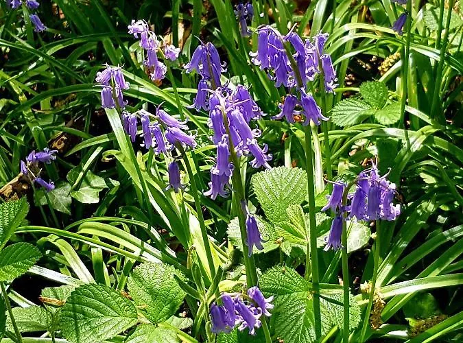 D'orange 4* Waterloo