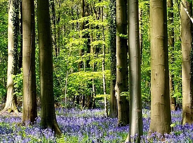 D'orange Bed & Breakfast 4*