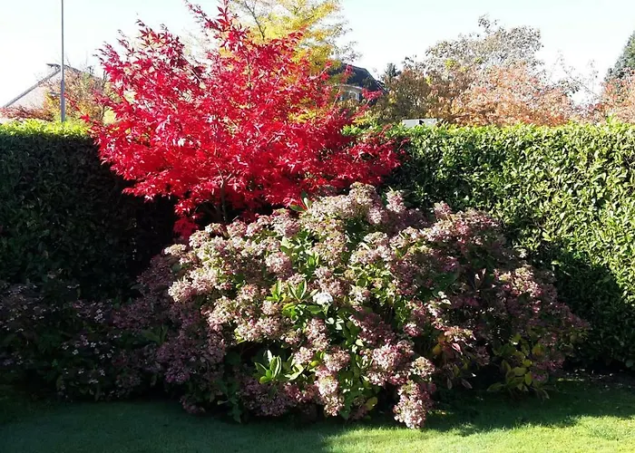 D’orange 4* Waterloo