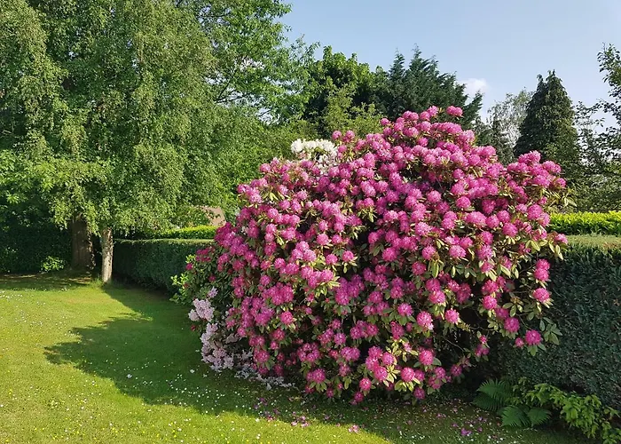 Bed & Breakfast D'orange 4*